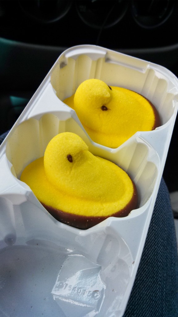 Chocolate covered Marshmallow Peeps