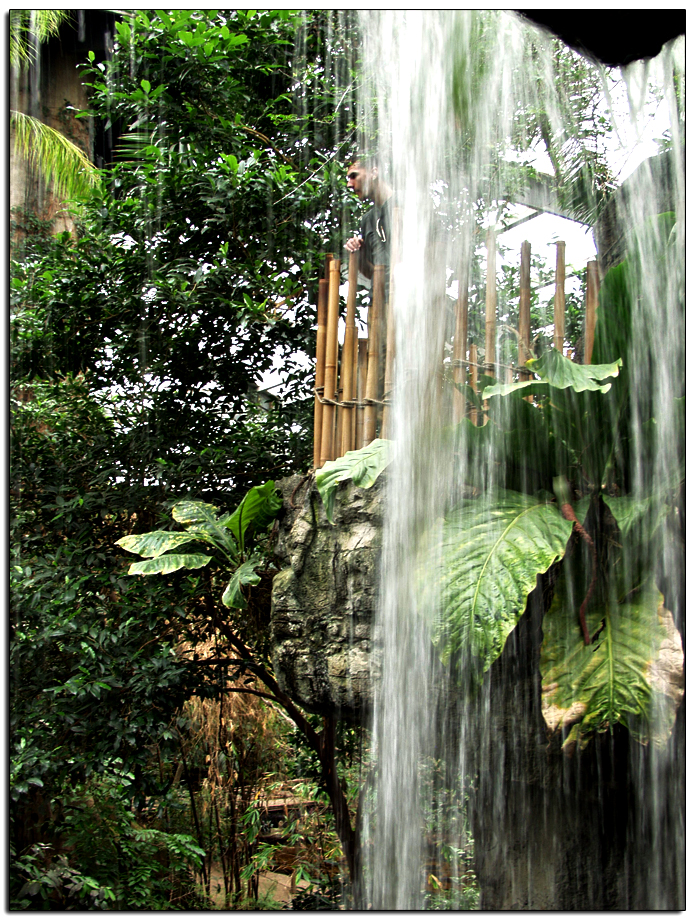 Lied Jungle Omaha Nebraska