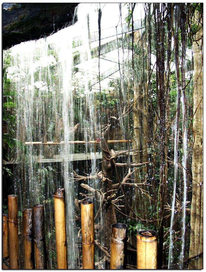 The Lied Jungle in Omaha Nebraska has several large indoor waterfalls, many you can walk under and get refreshed