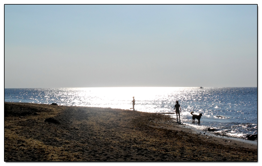 Sun setting over the ocean