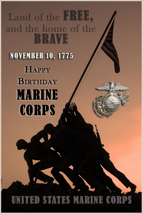 Happy Birthday Marine Corps, the official birthday of the USMC is November 10, 1775