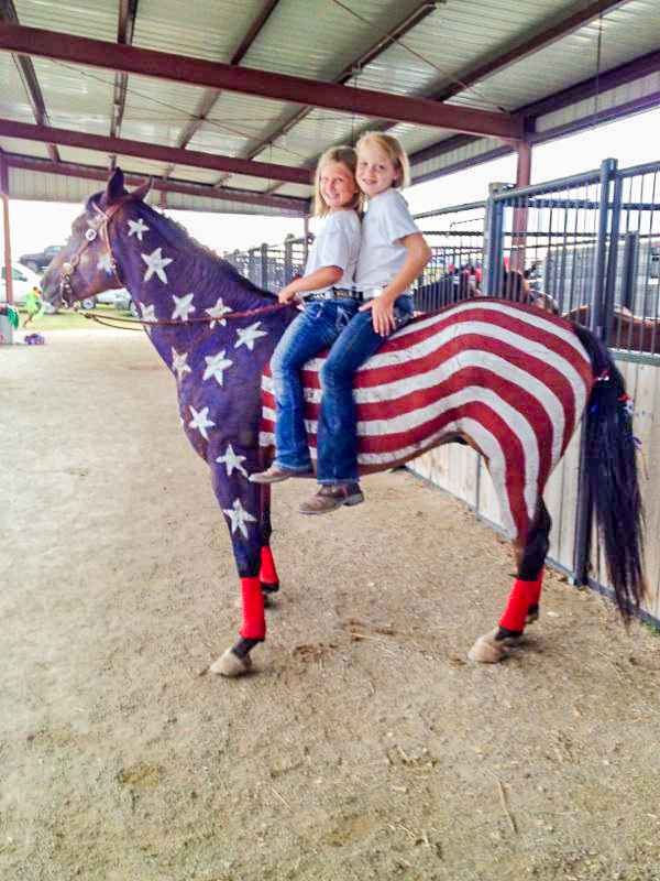 Patriotic Horses at the County Fair - 3 Quarters Today