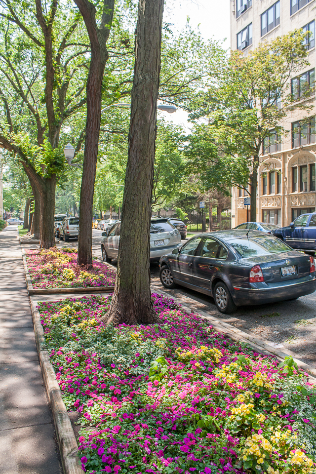 Where Edgewater Chicago meet and how they are different