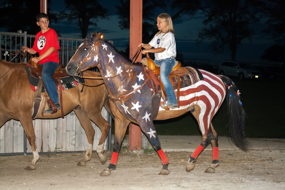 Patriotic Horses at the County Fair - 3 Quarters Today