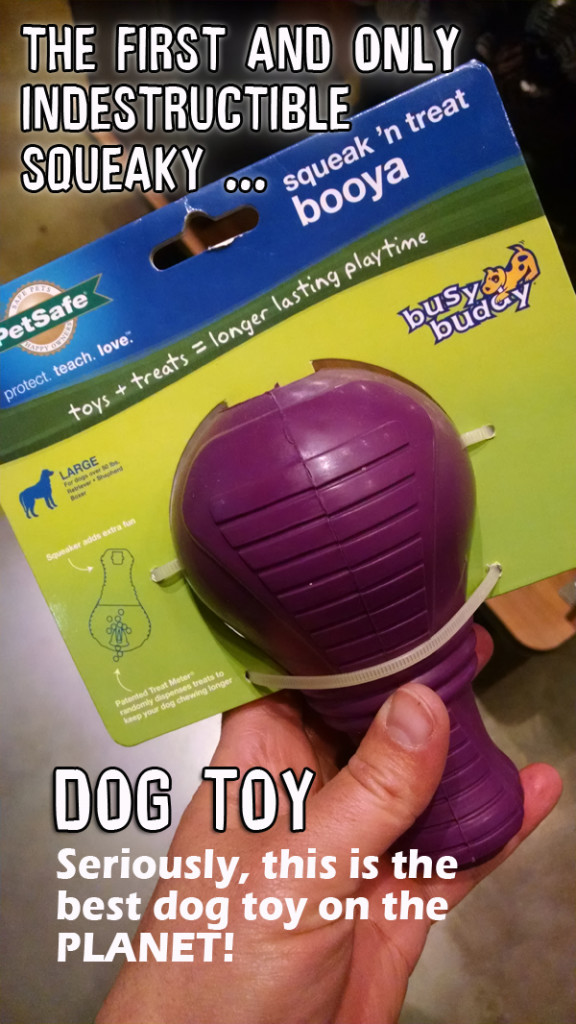 chew toys for aggressive chewers