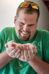 A white Boxer pup, Leahs puppies from herfirst litter in 2015, she is our fist Boxer but not our last.