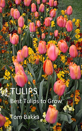 TULIPS: Best Tulips to Grow
