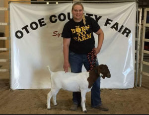 Learn here why is Ag education is important and how to support agriculture in your schools through the National FFA Organization and Farmland. 