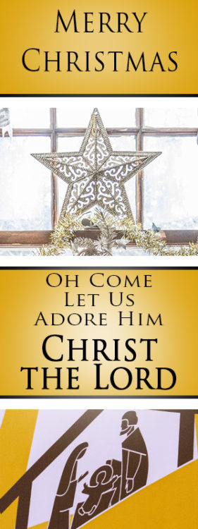 O Come Let Us Adore Him, Christ the Lord is Born today!! Celebrate Christmas with this popular Christmas hymn O Come All Ye Faithful. Find lyrics, sheet music and more.