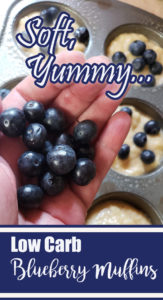 Low carbs blueberry muffin. A seriously low sugar blueberry muffins recipe that taste good.