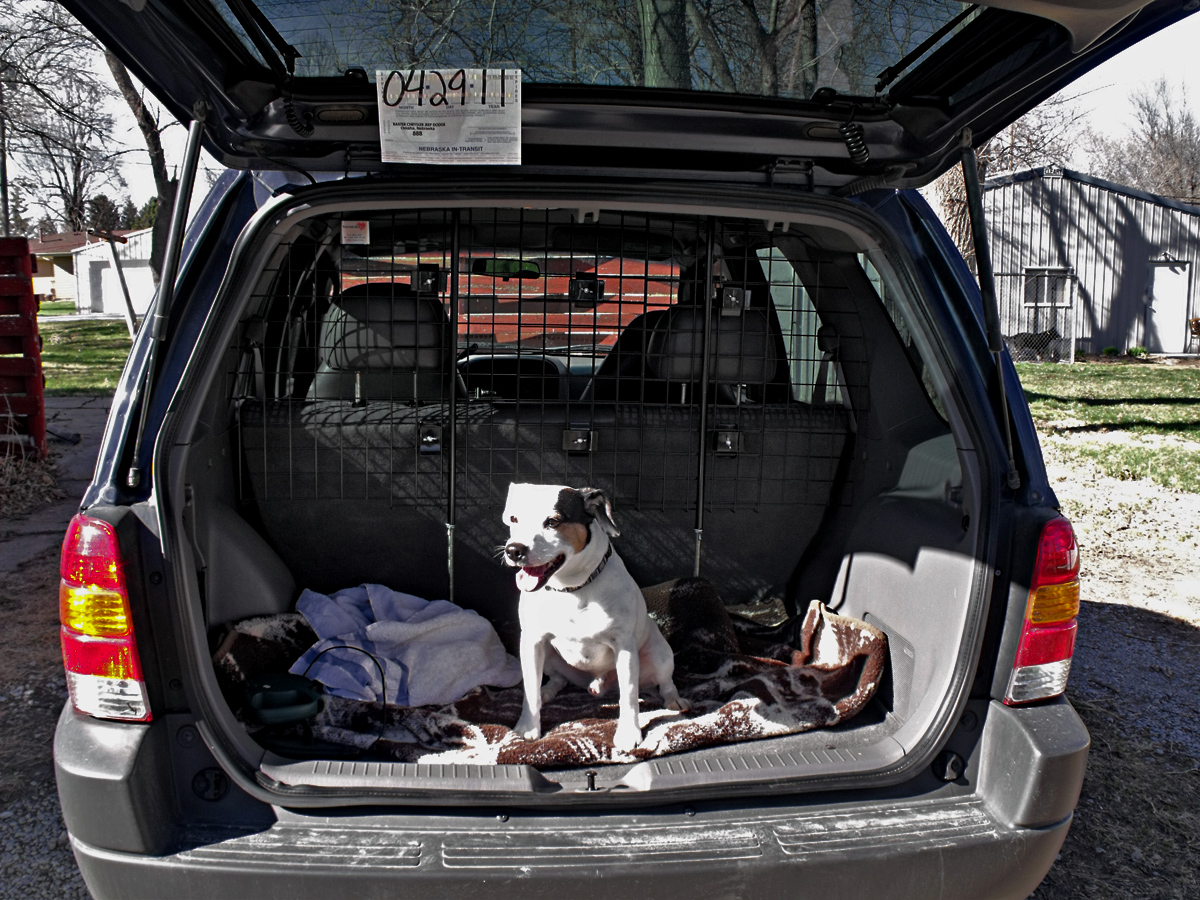 Best pet barrier for ford escape #4