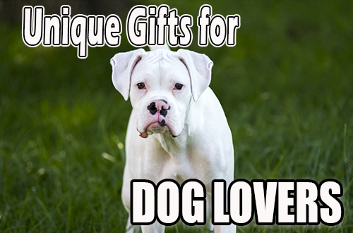 Unique gifts for dog lovers